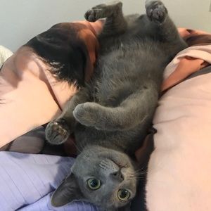 Meet your Posher, Kate